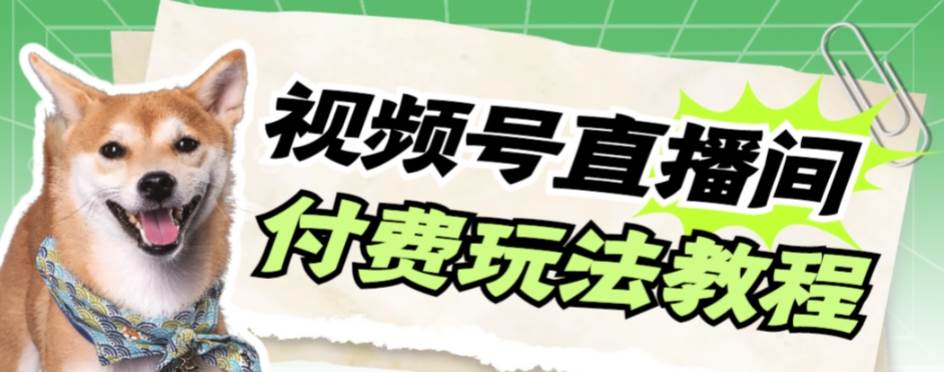 （7660期）視頻號美女付費無人直播，輕松日入500 【詳細玩法教程】