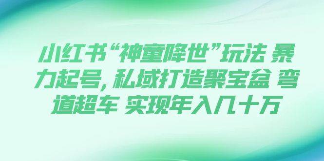 小紅書“神童降世”玩法 暴力起號,私域打造聚寶盆 彎道超車 實(shí)現(xiàn)年入幾十萬插圖
