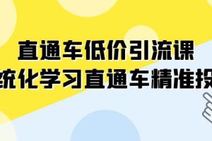 直通車-低價引流課，系統(tǒng)化學習直通車精準投放（14節(jié)課）