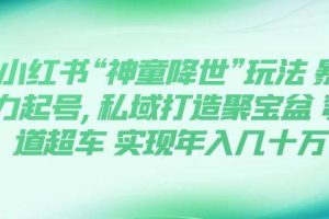 小紅書“神童降世”玩法 暴力起號,私域打造聚寶盆 彎道超車 實(shí)現(xiàn)年入幾十萬