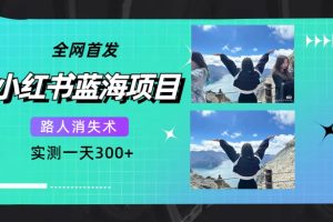 全網首發，小紅書藍海項目，路人消失術，實測一天300 （教程 工具）