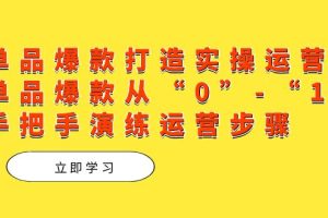 單品爆款打造實操運營，單品爆款從“0”-“1”手把手演練運營步驟