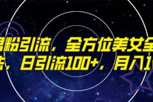 精準男粉引流，全方位美女全視角玩法，日引流100 ，月入1w