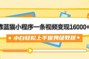 靠藍(lán)貓小程序一條視頻變現(xiàn)16000 小白輕松上手保姆級(jí)教程（附166G資料素材）