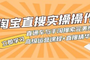 淘寶直搜實操操作 直通車與手淘搜索完美結合（高級運營課程 直搜精華實戰）