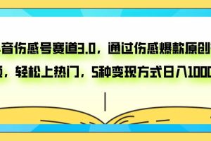 抖音傷感號賽道3.0，通過傷感爆款原創(chuàng)視頻，輕松上熱門，5種變現(xiàn)日入1000
