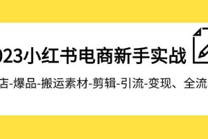 2023小紅書電商新手實戰課程，開店-爆品-搬運素材-剪輯-引流-變現、全流程