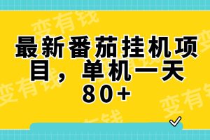 最新番茄小說掛機(jī)，單機(jī)一天80 可批量操作!