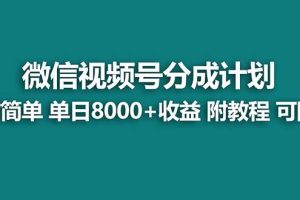 【藍(lán)海項(xiàng)目】視頻號(hào)分成計(jì)劃，單天收益8000 ，附玩法教程！可陪跑