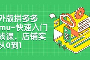 海外版拼多多Temu-快速入門實(shí)戰(zhàn)課，店鋪實(shí)戰(zhàn)從0到1（12節(jié)課）