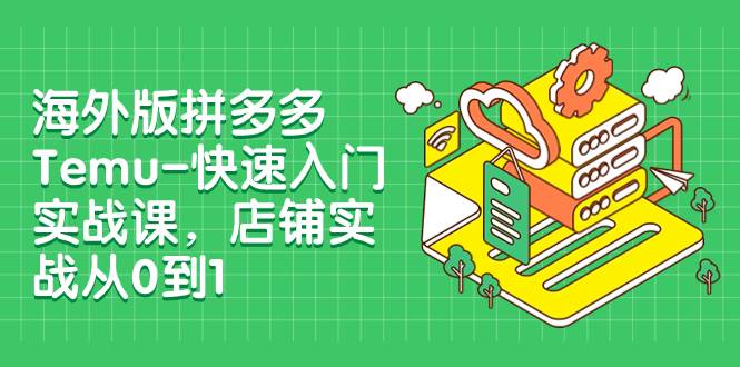海外版拼多多Temu-快速入門實(shí)戰(zhàn)課，店鋪實(shí)戰(zhàn)從0到1（12節(jié)課）插圖