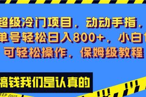 超級冷門項(xiàng)目,動動手指，單號輕松日入800 ，小白也可輕松操作，保姆級教程
