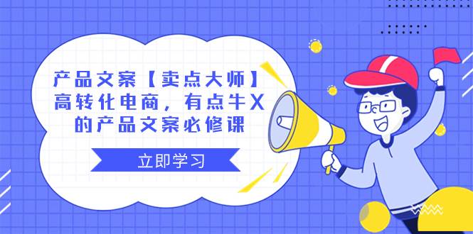 產(chǎn)品文案【賣點大師】高轉(zhuǎn)化電商，有點牛X的 產(chǎn)品文案必修課插圖