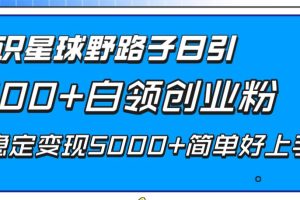 知識星球野路子日引300 白領(lǐng)創(chuàng)業(yè)粉，日穩(wěn)定變現(xiàn)5000 簡單好上手！
