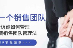 給你一個(gè)銷售團(tuán)隊(duì)，告訴你如何管理，高業(yè)績銷售團(tuán)隊(duì)管理法（89節(jié)課）