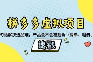 拼多多虛擬項(xiàng)目：三兩句話(huà)解決選品難，一個(gè)方法判斷產(chǎn)品容不容易被投訴，產(chǎn)品會(huì)不會(huì)被起訴（簡(jiǎn)單、粗暴、好用）