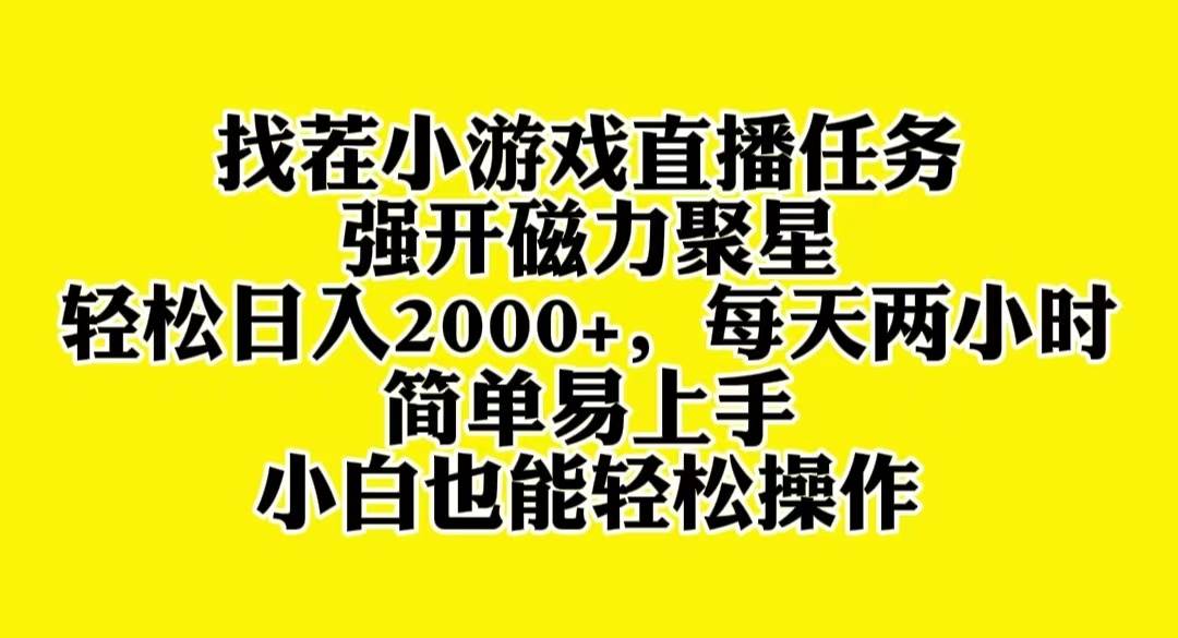 找茬小游戲直播，強(qiáng)開磁力聚星，輕松日入2000 ，小白也能輕松上手插圖
