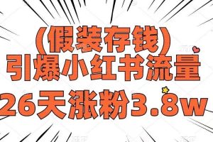假裝存錢，引爆小紅書流量， 26天漲粉3.8w，作品制作簡單，多種變現(xiàn)方式