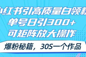 小紅書引高質量白領粉，單號日引300+，可放大操作，爆粉秘籍！30s一個作品
