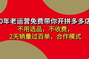 拼多多-合作開店日入4000+兩天銷量過百單，無學費、老運營教操作、小白…