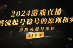 2024游戲直播-自然流起號穩(wěn)號的原理和實戰(zhàn)，自然流起號流程（11節(jié)）