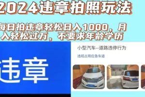 2024違章拍照新玩法，推廣躺賺+拍照賺錢雙模式，日入1000+