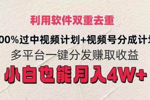 利用軟件雙重去重，100%過中視頻+視頻號分成計劃小白也可以月入4W+