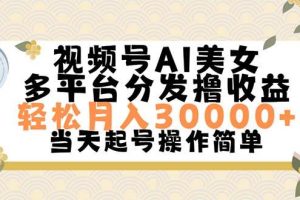 視頻號AI美女，輕松月入30000+,操作簡單輕松上手