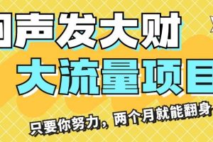 悶聲發(fā)大財，大流量項目，月收益過3萬，只要你努力，兩個月就能翻身