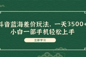 抖音藍(lán)海差價(jià)玩法，一天3500+，小白一部手機(jī)輕松上手