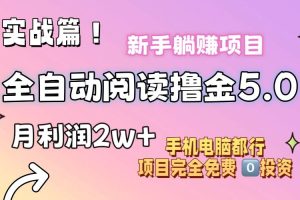 小說全自動閱讀擼金5.0 操作簡單 可批量操作 零門檻！小白無腦上手月入2w+