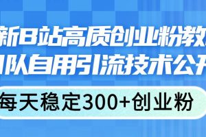最新B站高質(zhì)創(chuàng)業(yè)粉教程，團(tuán)隊(duì)自用引流技術(shù)公開(kāi)