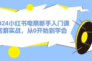 2024小紅書(shū)電商新手入門課，店群實(shí)戰(zhàn)，從0開(kāi)始到學(xué)會(huì)（31節(jié)）