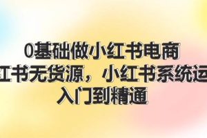 0基礎做小紅書電商，小紅書無貨源，小紅書系統運營，入門到精通 (70節)