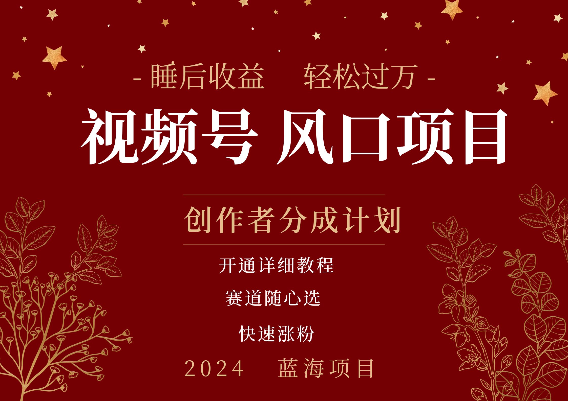 擁有睡眠收益的微信視頻號大風口項目，輕松月入過萬+，多賽道選擇，可矩陣，玩法簡單輕松上手