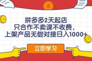 拼多多2天起店，只合作不賣課不收費，上架產品無償對接日入1000+