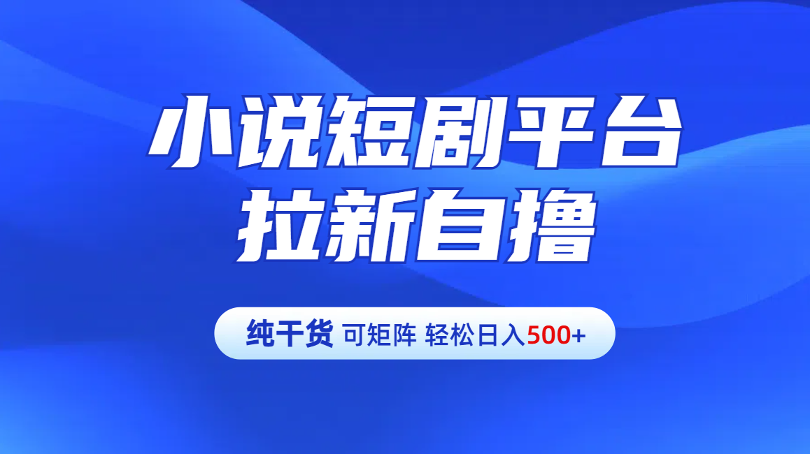 【純干貨】小說短劇平臺拉新自擼玩法詳解-單人輕松日入500+