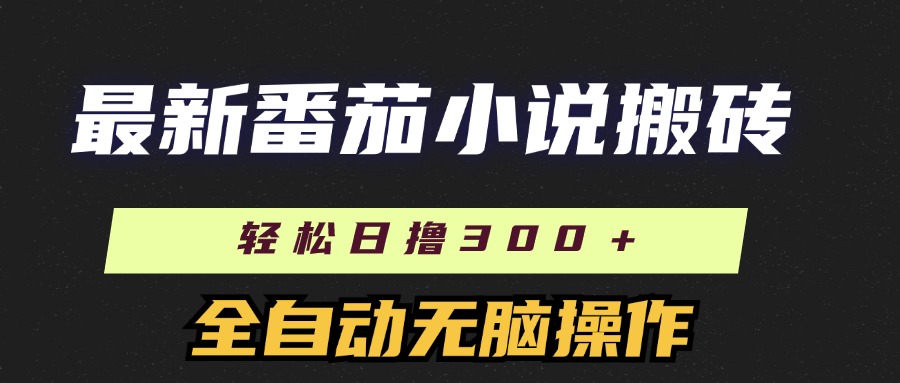 最新番茄小說搬磚，日擼300＋！全自動操作，可矩陣放大！插圖