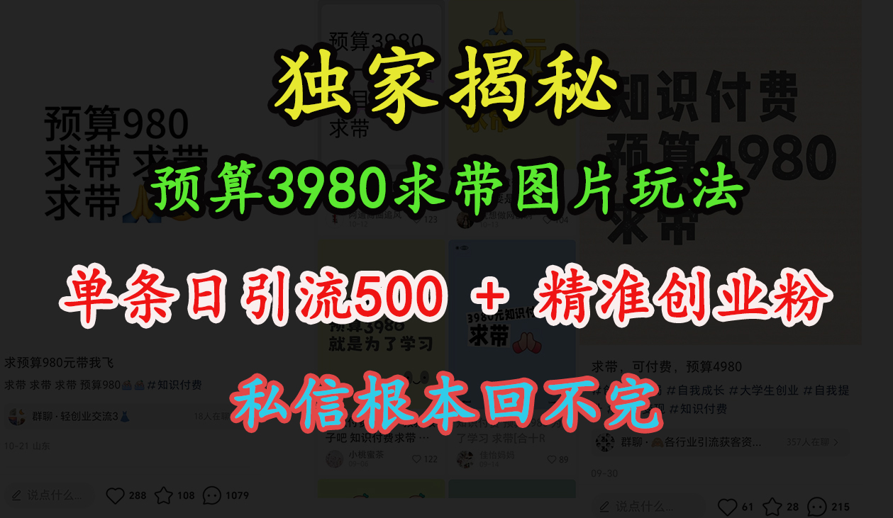 “小紅書”預算3980求帶 圖片玩法，單條日引流500+精準創業粉，私信根本回不完
