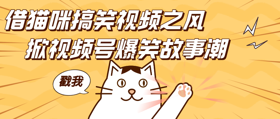 借貓咪搞笑視頻之風，掀視頻號爆笑故事潮，輕松日賺四位數，開啟無門檻賺錢新體驗！