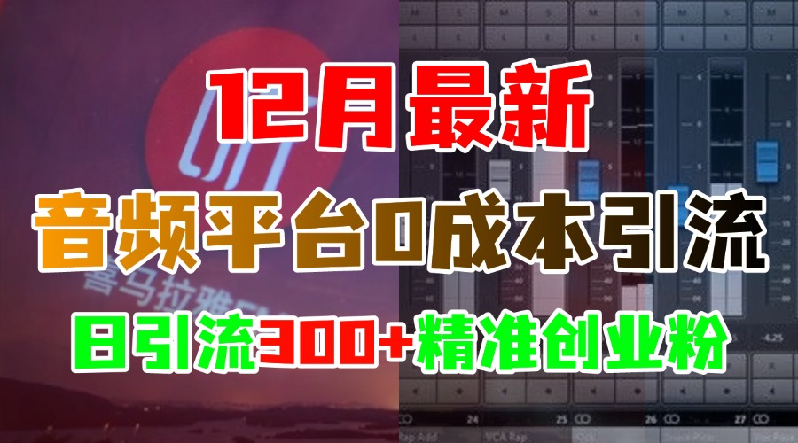 12月最新：音頻平臺(tái)0成本引流，日引300+精準(zhǔn)創(chuàng)業(yè)粉