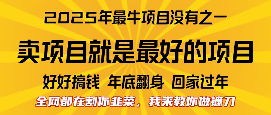 全網都在割你韭菜，我來教你做鐮刀。賣項目就是最好的項目，2025年最牛互聯網項目插圖