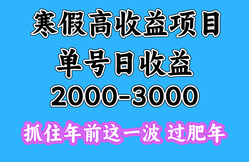 寒假期間一天收益2000-3000+，抓住年前這一波