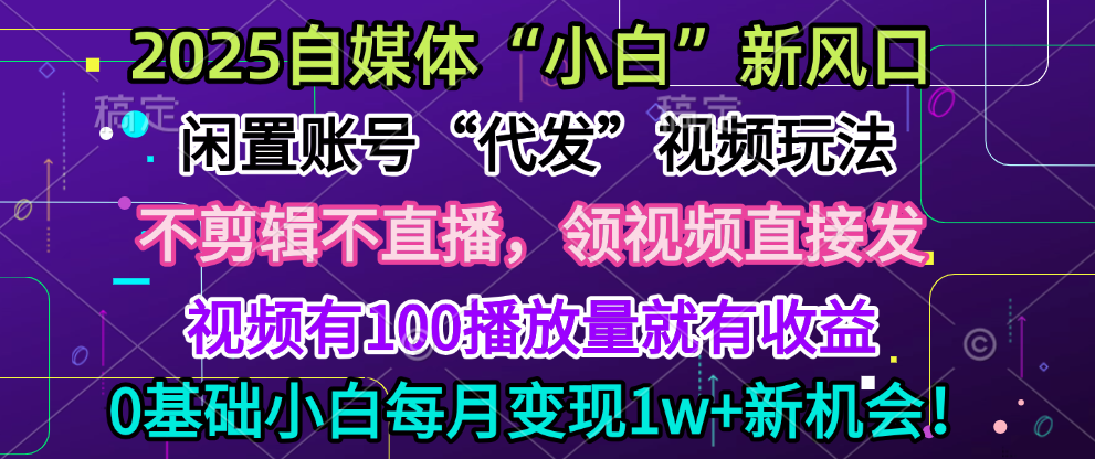 2025每月躺賺5w+新機會，閑置視頻賬號一鍵代發(fā)玩法，0粉不實名不剪輯，領了視頻直接發(fā)，0基礎小白也能日入300+
