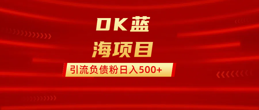 DK藍海項目  通過，抖音，快手，小紅書，引流負債粉日入500+插圖