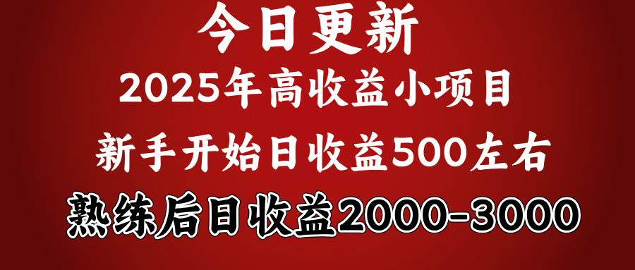 好項目一眼就能看出來，日收益1000，長久可做，2025拼的就是我比你勤奮