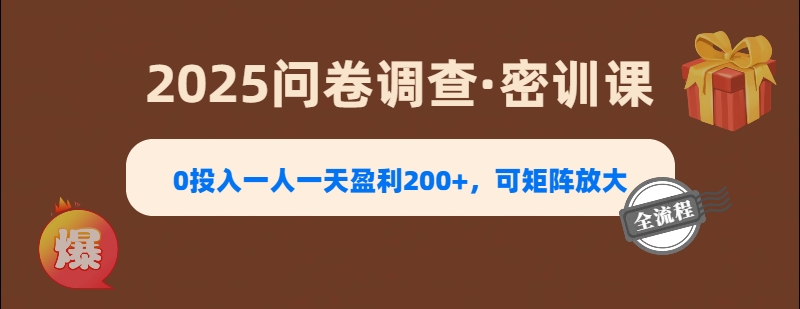 2025《問卷調(diào)查》0投入一人一天盈利200+，可矩陣放大