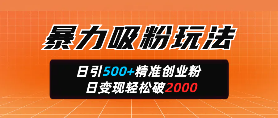 暴力吸粉玩法，日引500+精準創業粉，日變現輕松破2000