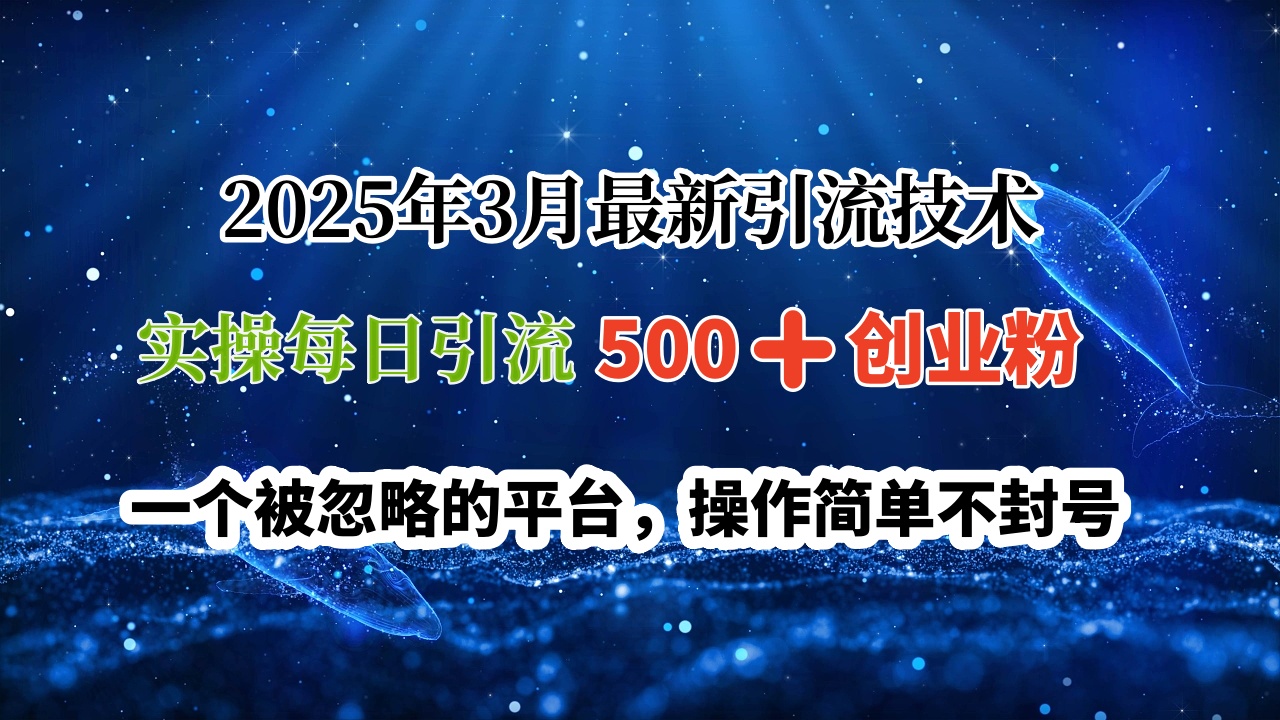 2025年3月最新引流技術，實操每日引流500?創業粉，一個被忽略的平臺，操作簡單不封號
