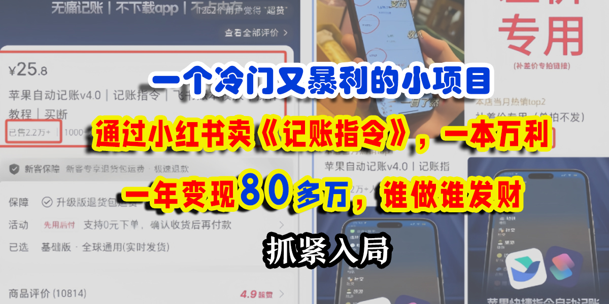 一個冷門又暴利的小項目，通過小紅書賣《記賬指令》，一本萬利，一年變現80多萬，誰做誰發財